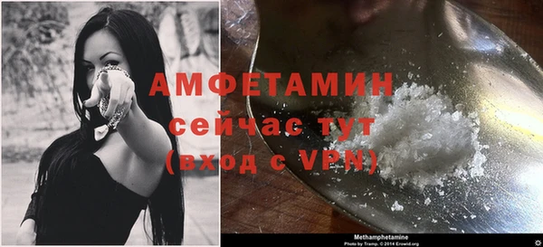 ГАЛЛЮЦИНОГЕННЫЕ ГРИБЫ Горняк